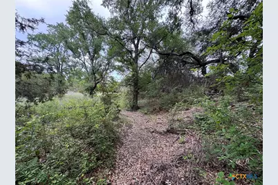 Unassigned Private Road 16029, Jonesboro, TX 76538 - Photo 13