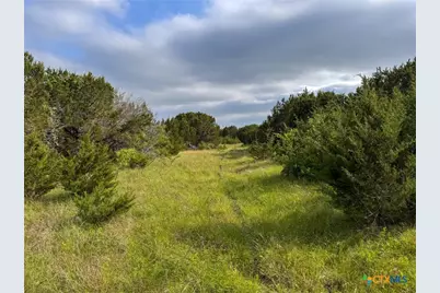 Unassigned Private Road 16029, Jonesboro, TX 76538 - Photo 9