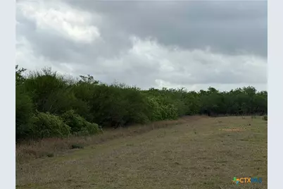 Tract 9 Love Road, Victoria, TX 77904 - Photo 3