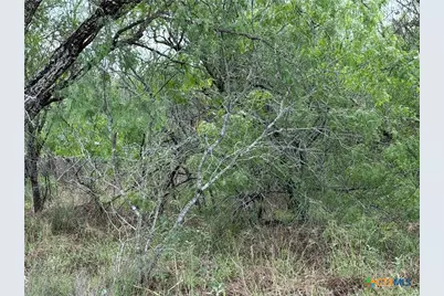 Tract 9 Love Road, Victoria, TX 77904 - Photo 5
