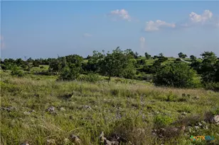 1077 Adobe Creek Rd, Fredericksburg, TX 78624 - Photo 3