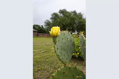 301 Sunrise Hills, Lampasas, TX 76550 - Photo 7