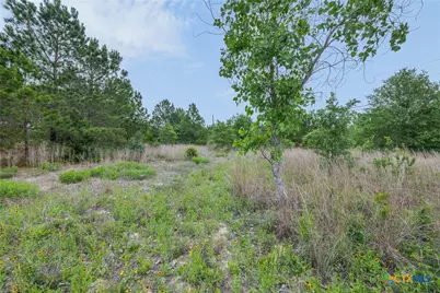 Tbd Lot 20C County Rd, Bastrop, TX 78602 - Photo 9
