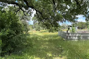 113 Deer Springs Dr, Burnet, TX 78611 - Photo 21