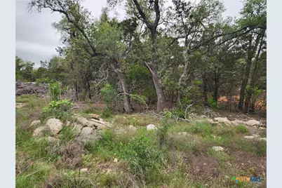 286 Flanders, Fischer, TX 78623 - Photo 3