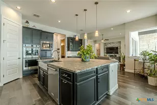 309 Hopping Peach St, San Marcos, TX 78666 - Photo 17