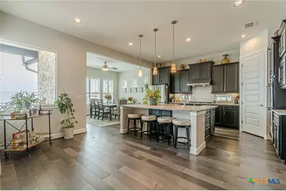 309 Hopping Peach Street, San Marcos, TX 78666 - Photo 15