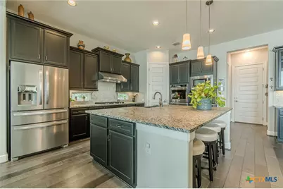 309 Hopping Peach Street, San Marcos, TX 78666 - Photo 19