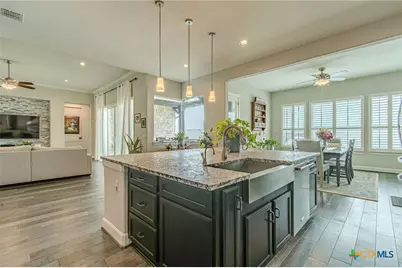 309 Hopping Peach Street, San Marcos, TX 78666 - Photo 21