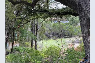 273 Scenic Drive, Canyon Lake, TX 78133 - Photo 3