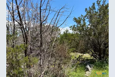 560 Hummingbird Hill, Canyon Lake, TX 78133 - Photo 7