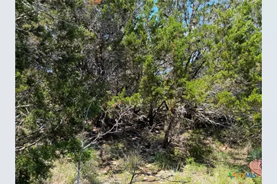 560 Hummingbird Hill, Canyon Lake, TX 78133 - Photo 9