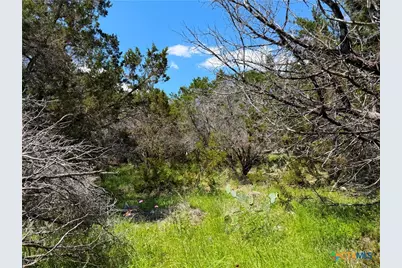 1841 Canyon Lake Drive, Canyon Lake, TX 78133 - Photo 13