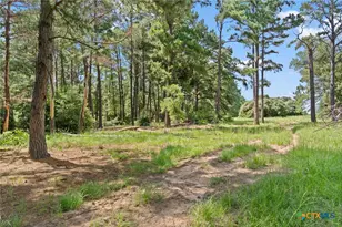 Tbd (Tracts 11 & 12) St Delight, Paige, TX 78659 - Photo 5