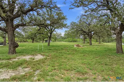 266 Catfish Lane, Lockhart, TX 78644 - Photo 9