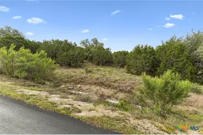 293 River Cliff Place, Spring Branch, TX 78070 - Photo 9