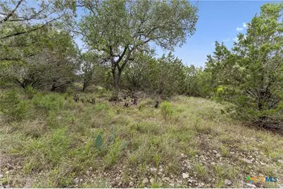 293 River Cliff Place, Spring Branch, TX 78070 - Photo 11