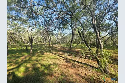 766 Rawhide Road, Seguin, TX 78155 - Photo 7