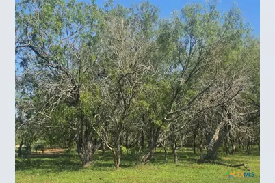 766 Rawhide Road, Seguin, TX 78155 - Photo 5