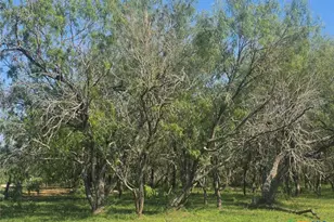 766 Rawhide Rd, Seguin, TX 78155 - Photo 5