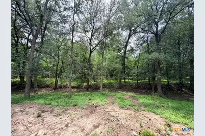 Tbd Fm 86, Luling, TX 78648 - Photo 19