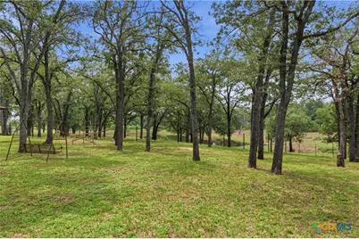 4450 Old Seguin Luling Road, Seguin, TX 78155 - Photo 13