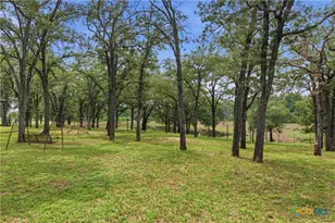 4450 Old Seguin Luling Rd, Seguin, TX 78155 - Photo 13