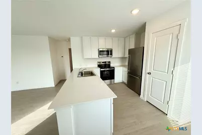311 Moscato Road, New Braunfels, TX 78130 - Photo 9