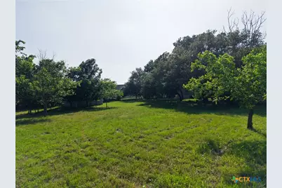 2739 Willow Loop, Kempner, TX 76539 - Photo 3