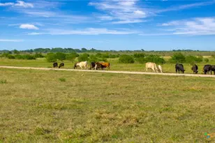 8078 State Hwy 35, Palacios, TX 77465 - Photo 27