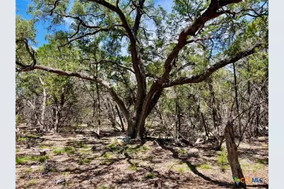 Tbd Forest View Drive #1, Blanco, TX 78606 - Photo 13