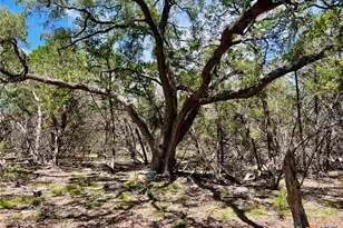 Tbd Forest View Dr, Blanco, TX 78606 - Photo 13