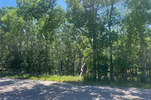 Tbd Forest View Dr, Blanco, TX 78606 - Photo 11