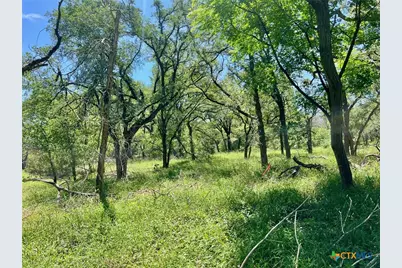 Tbd Forest View Drive #1, Blanco, TX 78606 - Photo 15