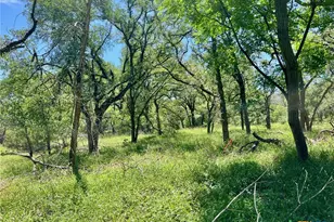 Tbd Forest View Dr, Blanco, TX 78606 - Photo 15