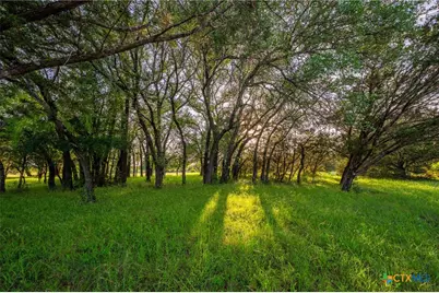 1618 County Road 2480, Hico, TX 76457 - Photo 23