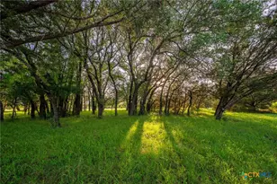 1618 Co Rd 2480, Hico, TX 76457 - Photo 23