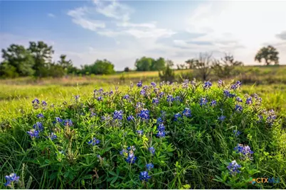 1618 County Road 2480, Hico, TX 76457 - Photo 9