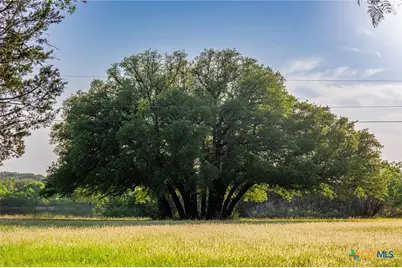 1618 County Road 2480, Hico, TX 76457 - Photo 13