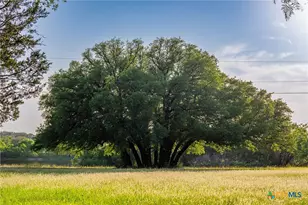 1618 Co Rd 2480, Hico, TX 76457 - Photo 13