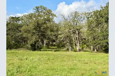 15631 Fm 682 - Tract B, Yoakum, TX 77995 - Photo 5