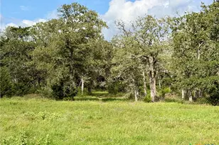 15631 Fm 682 - Tract B, Yoakum, TX 77995 - Photo 5