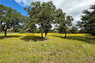 15631 Fm 682 - Tract C, Yoakum, TX 77995 - Photo 3