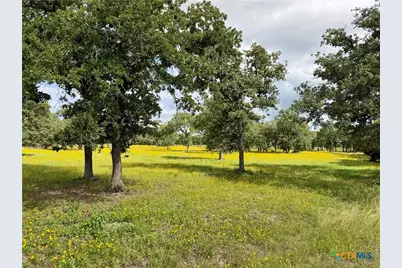 15631 Fm 682 - Tract C, Yoakum, TX 77995 - Photo 5