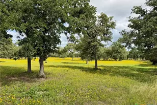 15631 Fm 682 - Tract C, Yoakum, TX 77995 - Photo 5