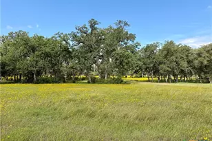 15631 Fm 682 - Tract C, Yoakum, TX 77995 - Photo 9