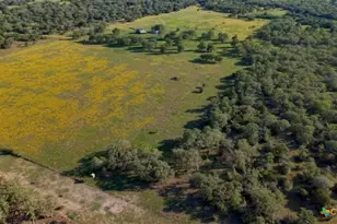 15631 Fm 682 - Tract E, Yoakum, TX 77995 - Photo 3