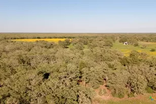 15631 Fm 682 - Tract E, Yoakum, TX 77995 - Photo 5