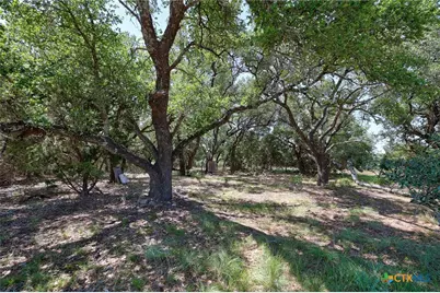 13770 Private Road 3642, Kempner, TX 76539 - Photo 23