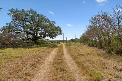 4612 County Road 117, Floresville, TX 78114 - Photo 31